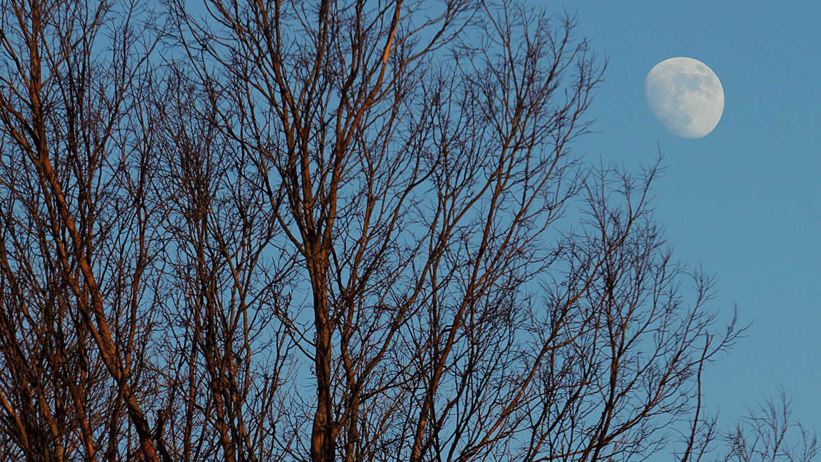 Photography, Jeremy Houchens, Freezing Over Moon