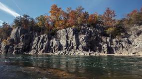 Potomac River, Zibii